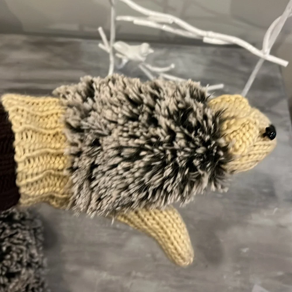 Hedgehog Mittens Like New